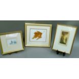 Barbara Brown - Autumn Leaf, watercolour, signed in pencil lower right, together with a coloured