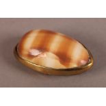 A BRASS MOUNTED COWRIE SHELL SNUFF BOX with hinged half lid, 5cm long
