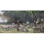 FRANK MURA (1861-?) Shepherdess and flock of sheep in a woodland glade, oil on canvas, signed to