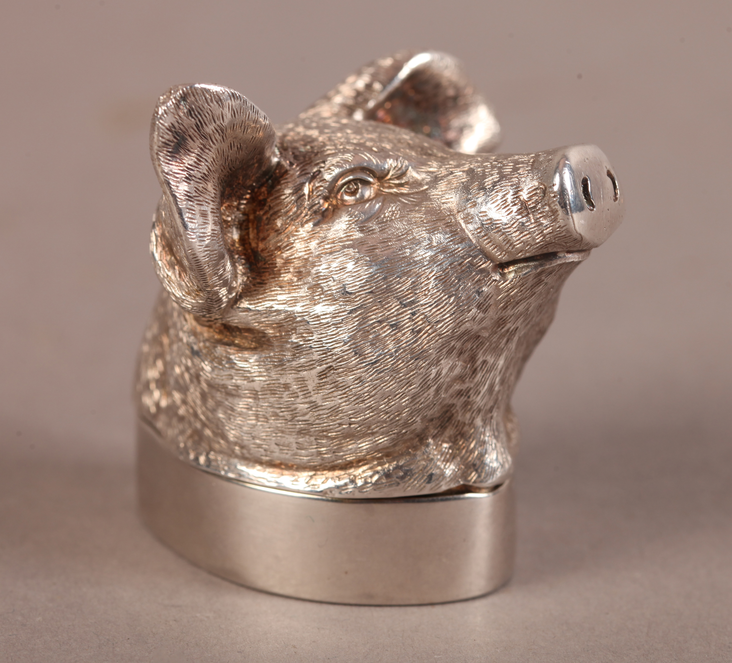A SILVER PIG'S HEAD BOX, realistically modelled, the pull off lid as a plinth base, London 1897,