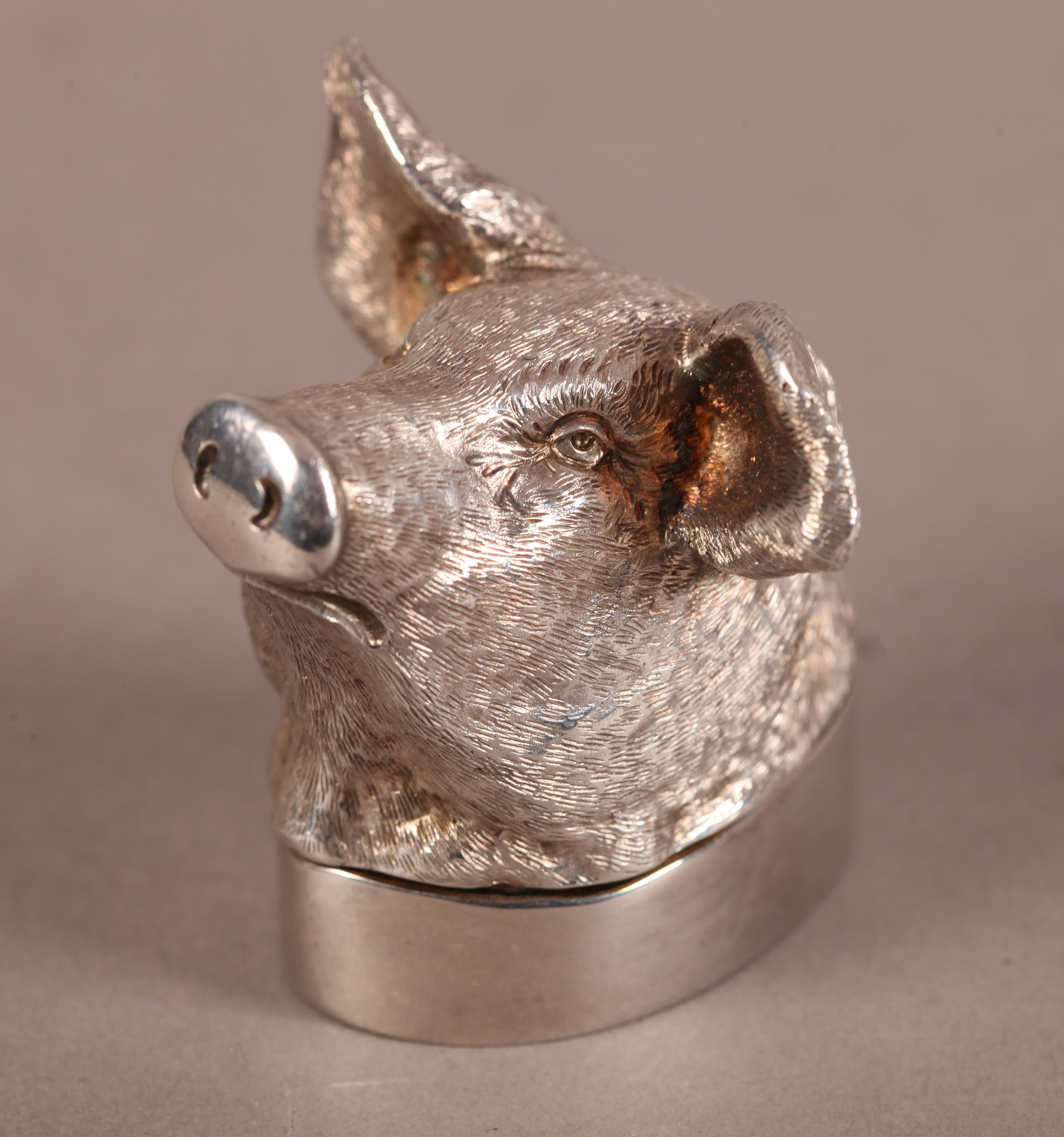 A SILVER PIG'S HEAD BOX, realistically modelled, the pull off lid as a plinth base, London 1897, - Image 2 of 3