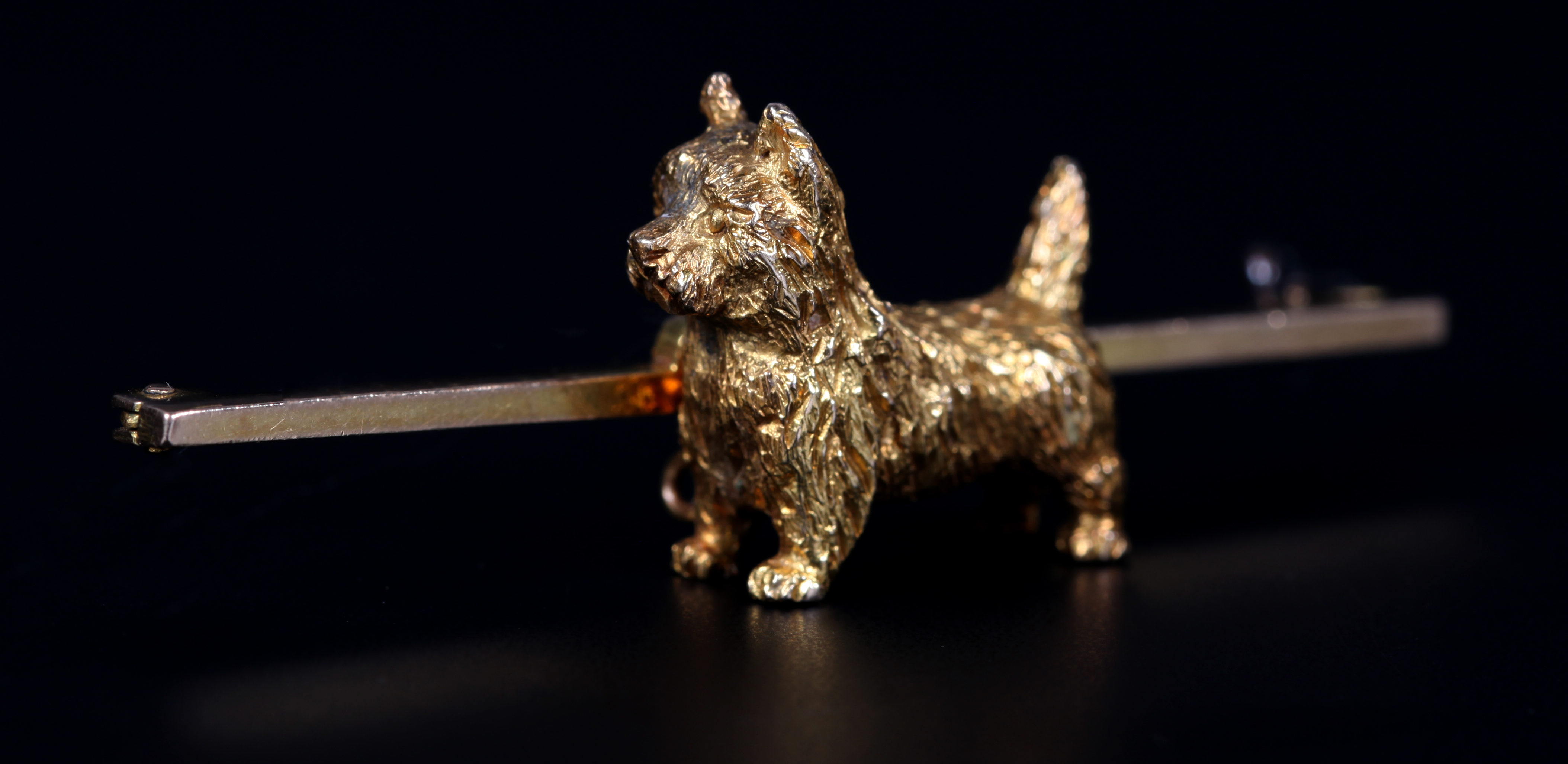 AN EDWARD VII SCOTTIE (CAIRN TERRIER) BROOCH in 15ct gold, the alert dog in full relief with