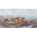 THOMAS ROWDEN (1842-1926) Ponies watering in a wooden landscape, watercolour signed lower left, 20cm