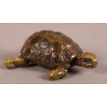 A BERGMANN BRONZE TORTOISE WITH PAINTED DECORATION, stamped maker's mark, 5.5cm long