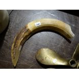 A Curved Rams Horn