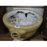 A Vintage Toilet Bowl Planter
