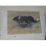 William Selwyn, A Limited Edition Coloured Print Of A Sheepdog, Titled "Cymro" Signed & No In