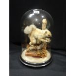 An Antique Taxidermy Study Of A Red Squirrel Under A Glass Dome