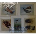 A Thornburn - Prints Featuring Seals, others, Birds mounted ready for framing 40 x 35cm (5)