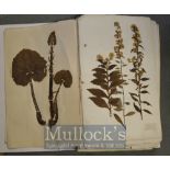 Circa 1920s Scrap Book containing various Flowers and Plants with accompanying labels includes