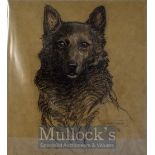 Clifford Ambler 1886 – 1965 - Dog artist original pastel drawing 35 x 33cm mounted