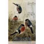 Nachlass Meyer Eberhardt Signed Print of four birds in the garden signed boldly in pencil framed