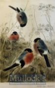 Nachlass Meyer Eberhardt Signed Print of four birds in the garden signed boldly in pencil framed
