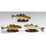 Brian Mills Wooden Carved Fish – Bass, Cod, Pollack Hand carved and coloured Sea Fish on wooden base