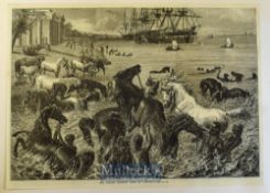 India - The Horses Morning Bath at Calcutta original woodblock engraving 1868 35x25cm to card