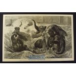 India - Pachyderms at Play The Bathing Season at the Zoo original large engraving published Sept