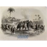 India - An Elephant Fight steel engraving mounted ready to frame measures 25x20cm overall