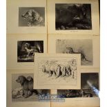 Sir Edwin Henry Landseer RA (1802-1873) Engravings – Selection of c.1880s 12x Steel Engravings by