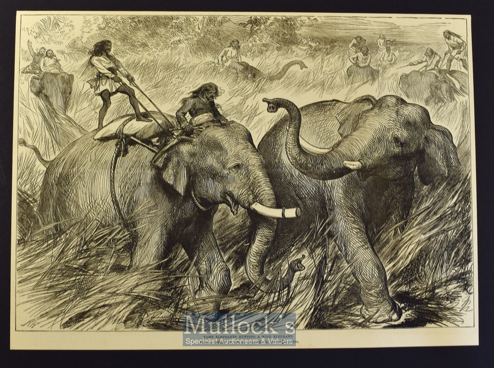 India - Nepal - Two original engravings Hunting a Wild Elephant 34x25cm and Royal Party Chased by - Image 2 of 2