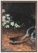 Rodger McPhail print of Brown Trout rising for Mayflies in oak frame^ print size 25cm x 18cm^ mf&g