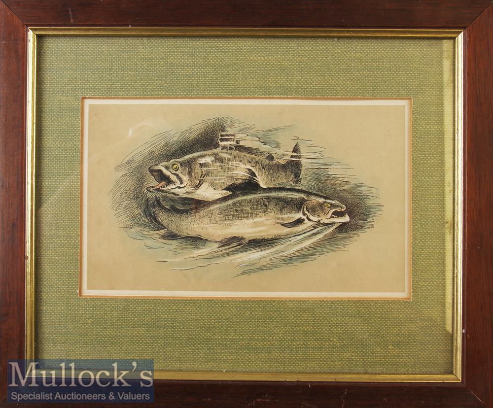 Circa 1880 ‘Salmon’ Lithograph by Wycliffe Taylor hand coloured framed measures 30x25cm