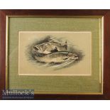 Circa 1880 ‘Salmon’ Lithograph by Wycliffe Taylor hand coloured framed measures 30x25cm