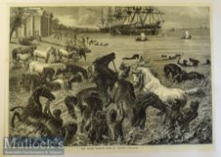 India - The Horses Morning Bath at Calcutta original woodblock engraving 1868 35x25cm to card