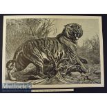 India - Le Roi Des Jungles (King of the Jungle) original engraving after painting by Bouverie