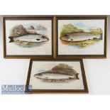 3x Fishing Prints depicting Galway Sea Trout^ Salmon and Grisle or Young Salmon^ all framed^