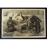 India - Pachyderms at Play The Bathing Season at the Zoo original large engraving published Sept
