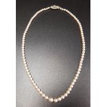 GRADUATED CULTURED PEARL NECKLACE with diamond set eighteen carat white gold and platinum clasp,