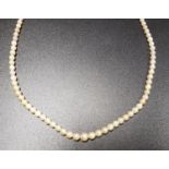 GRADUATED CULTURED PEARL NECKLACE with unmarked gold clasp, 38cm long