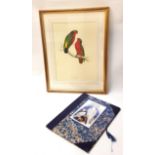 PSITTACULA KUHLII Kuhl's Parakeet, print, 41cm x 29cm, together with a folio Masterworks of Bird Art
