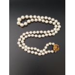 GRADUATED PEARL NECKLACE with citrine set nine carat gold clasp and individually knotted pearls,