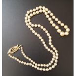 GRADUATED CULTURED PEARL NECKLACE with nine carat gold clasp, 52cm long