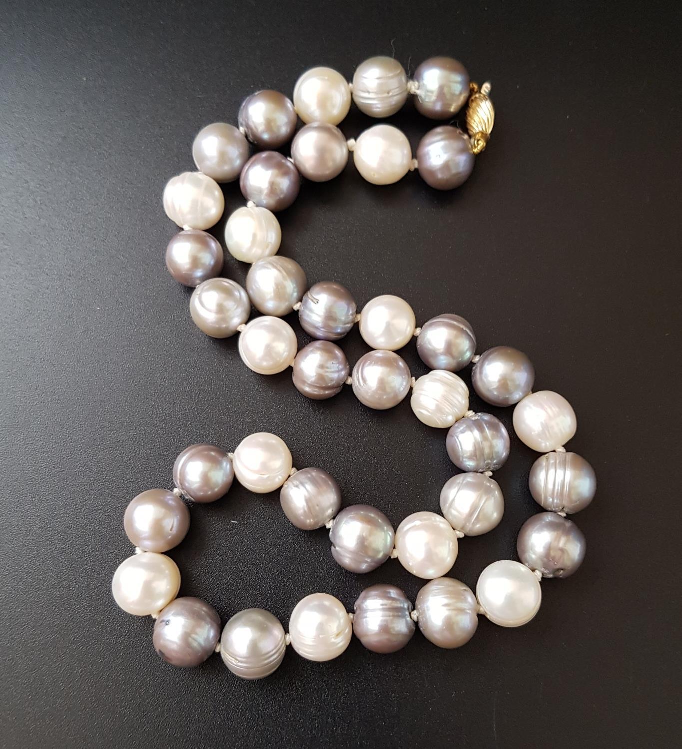 TRI-COLOUR CULTURED PEARL NECKLACE with white, light grey and dark grey pearls, with nine carat gold