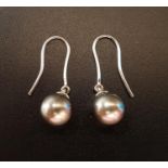 PAIR OF TAHITIAN BLACK PEARL DROP EARRINGS on unmarked white gold mounts