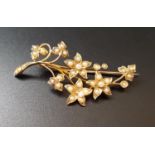 EDWARDIAN FLORAL SPRAY BROOCH in fifteen carat gold, 5.5cm wide and approximately 6.4 grams