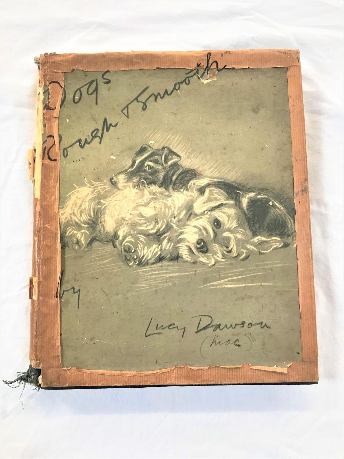 'DOGS ROUGH AND SMOOTH' BY LUCY LAWSON with sixteen Illustrations in colour. First Edition,