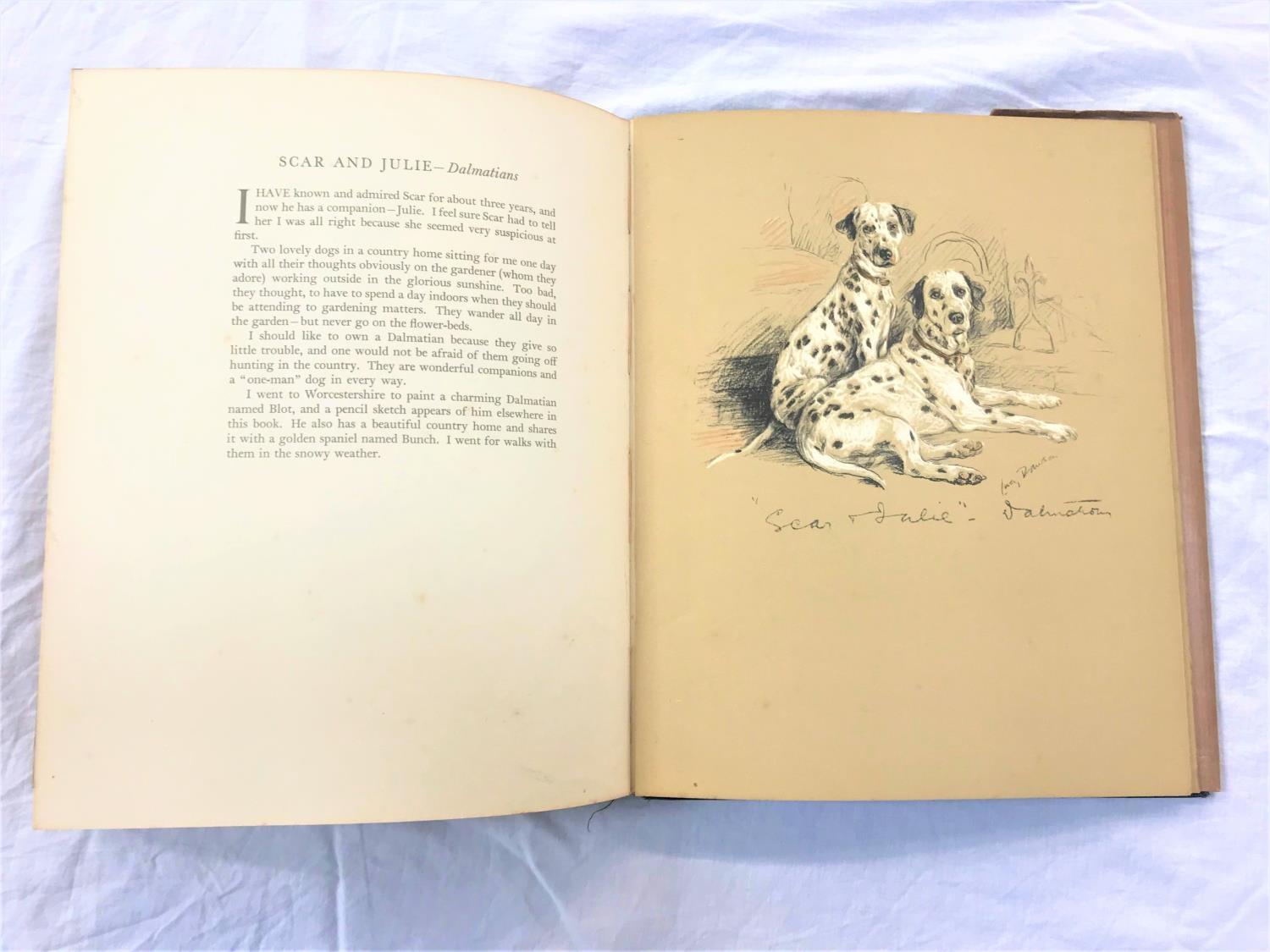 'DOGS ROUGH AND SMOOTH' BY LUCY LAWSON with sixteen Illustrations in colour. First Edition, - Image 2 of 2