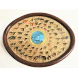 EARLY 20TH CENTURY FISHING FLIES the 67 flies mounted on hessian in an oval oak frame under glass,