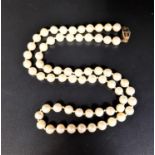 PEARL NECKLACE individually knotted, with nine carat gold cage design clasp, 50cm long