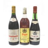 SELECTION OF THREE BOTTLES OF RIOJA comprising: one Campo Viejo Rioja 1979 Vintage (70cl) approx.