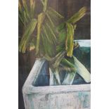 MARY WEST LEEKS IN A SINK Mix media on paper Laid on board Signed lower right inscribed verso 66cm