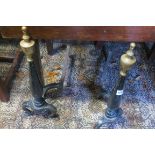 A PAIR OF 19th CENTURY CAST IRON AND BRASS FIRE DOGS,