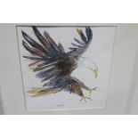 TERRY POWER STUDY OF AN EAGLE A watercolour Signed lower left 30cm x 27cm