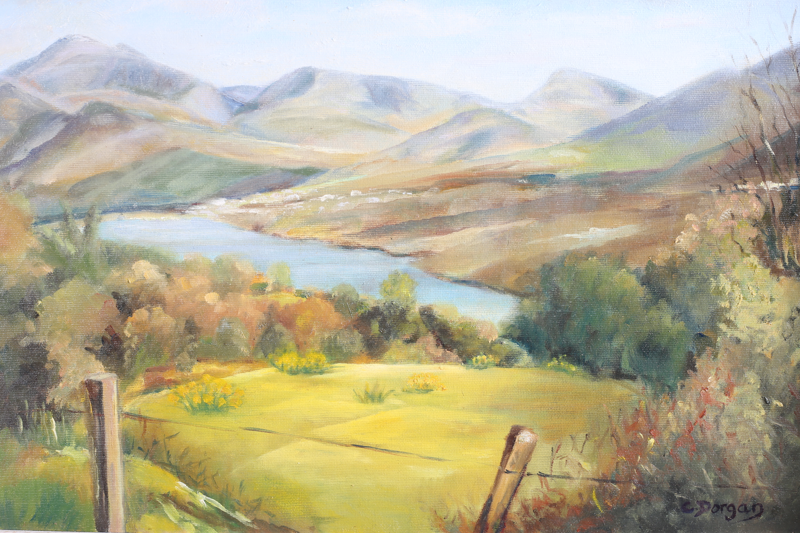 COLETTE DORGAN LOOKING OVER PADARN LAKE TOWARDS LLANBERIS SNOWDONIA Oil on canvas Signed lower