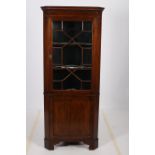 A MAHOGANY AND SATINWOOD INLAID CORNER CABINET the moulded cornice above an astragal glazed door