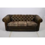 AN OLIVE GREEN HIDE UPHOLSTERED LIBRARY SETTEE with button scroll over back and arms and loose