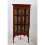 A 19TH CENTURY MAHOGANY AND SATINWOOD INLAID CORNER CABINET the moulded cornice above a pair of